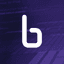 BINARLY favicon
