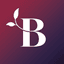 Bloom Stories favicon