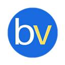 Brandvox favicon