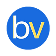 Brandvox favicon