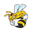 Browser Buddy favicon