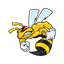 Browser Buddy favicon