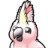 Cockatoo favicon