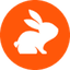 CodeRabbit favicon