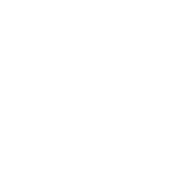 Dayzero.ai favicon