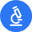 Delve AI favicon