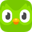 Duolingo favicon