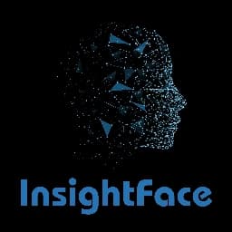 InsightFace favicon