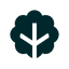Map This | PDF To Mind Map favicon