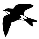 Martinic favicon