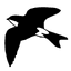 Martinic favicon