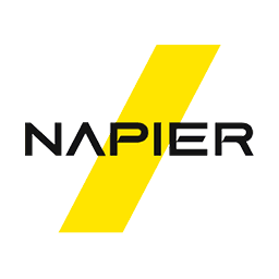 Napier AI favicon