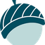 Nutshell favicon