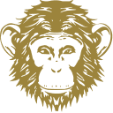 Omneky favicon