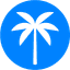 Palm favicon