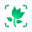 PictureThis - Plant Identifier favicon