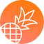 Pineapple Builder favicon