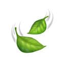 Sage Cooking favicon