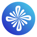 Saleswise favicon