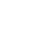 Salient favicon