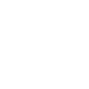Wayfaster favicon