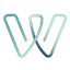 Wonsulting favicon