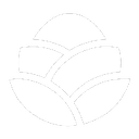ZeroBot favicon
