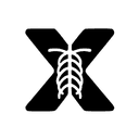 X-ray Interpreter favicon