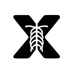 X-ray Interpreter favicon