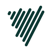 Voicenotes favicon