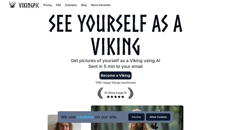 vikingpic website
