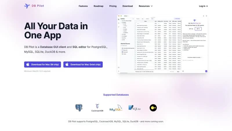 DB Pilot screenshot