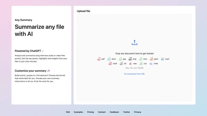 AnySummary screenshot
