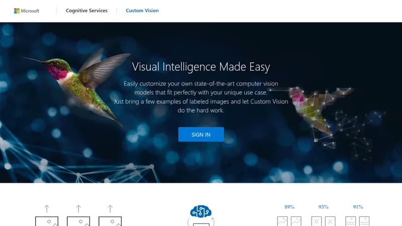 custom vision website