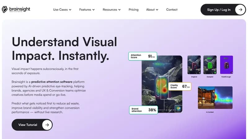 brainsight website