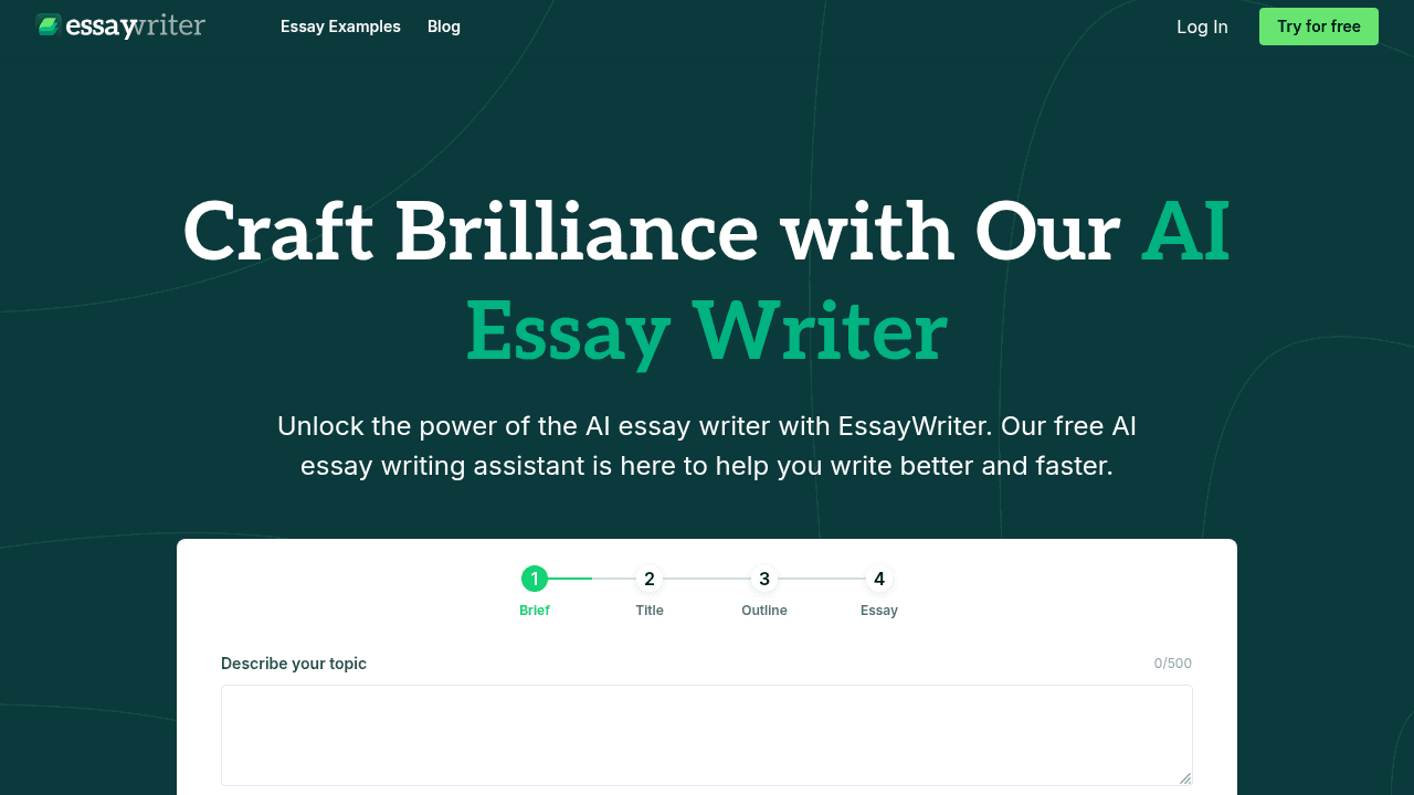 essaywriter website