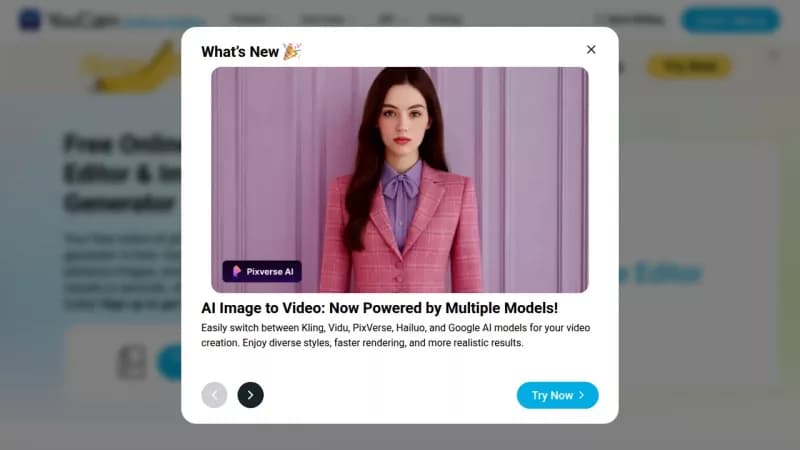 YouCam Online Editor screenshot