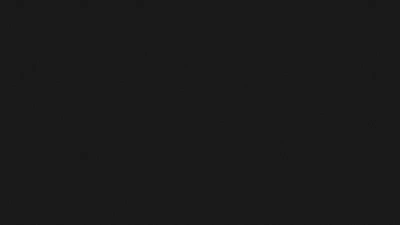 vizcom website