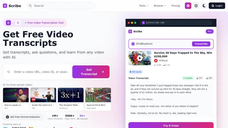 scribe website