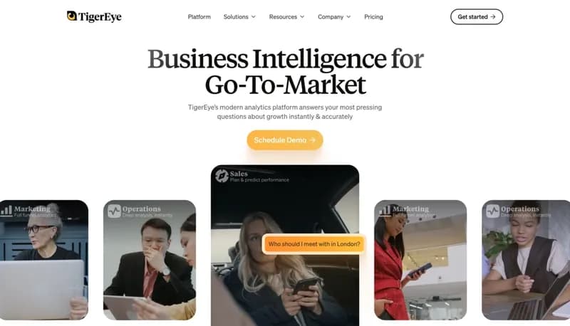 TigerEye screenshot