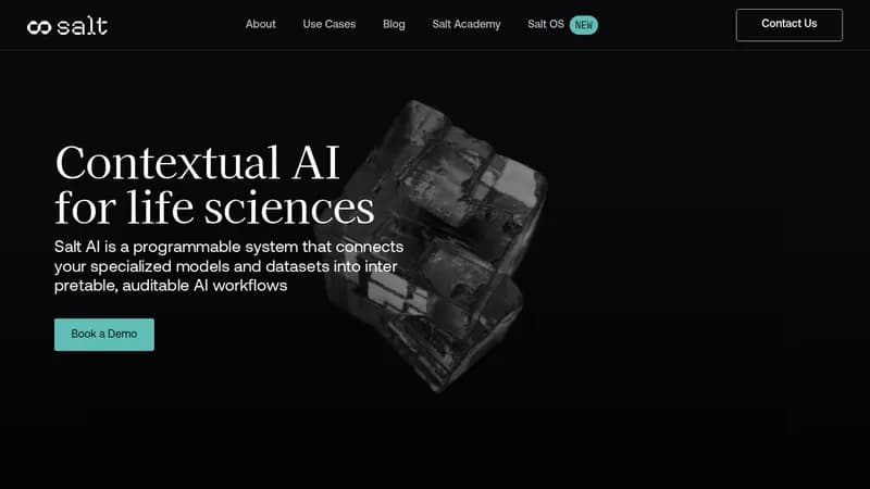 salt ai website