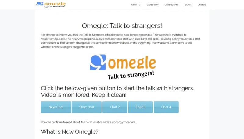 New Omegle screenshot