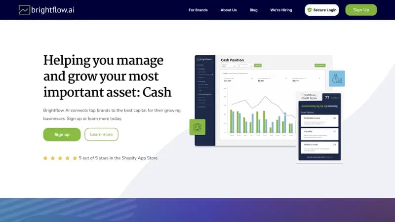 Brightflow AI screenshot
