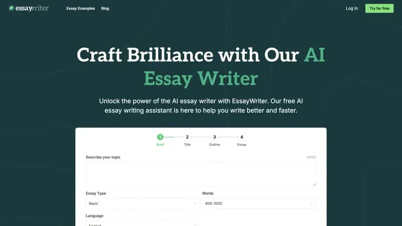 EssayWriter screenshot