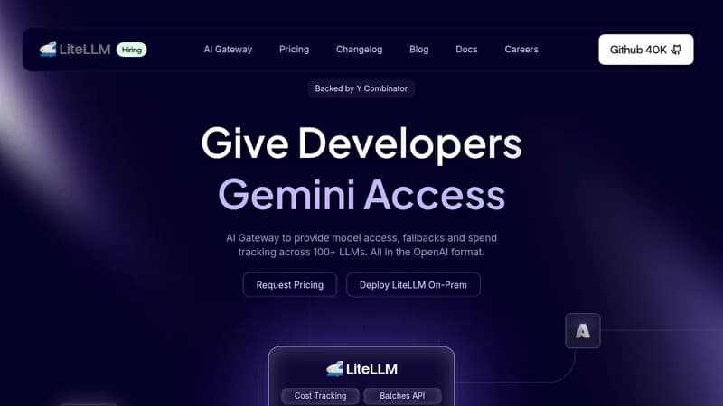 litellm website