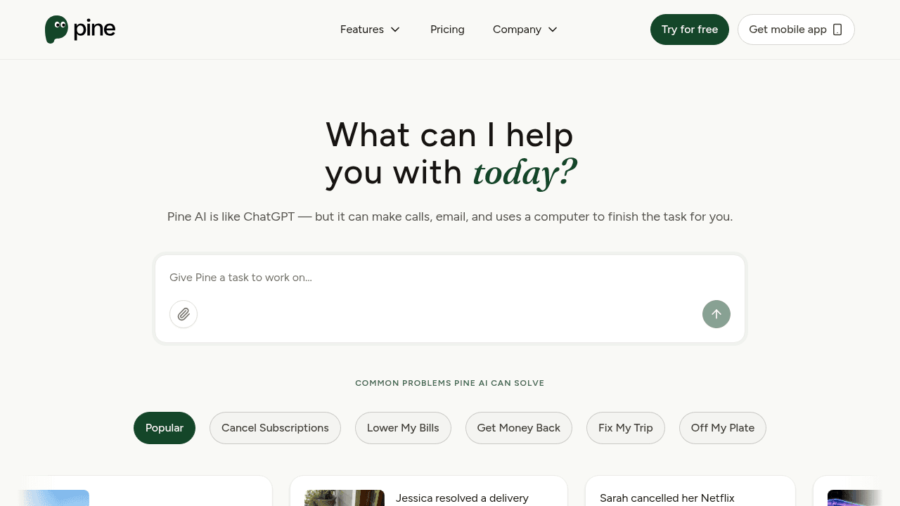 pine ai website