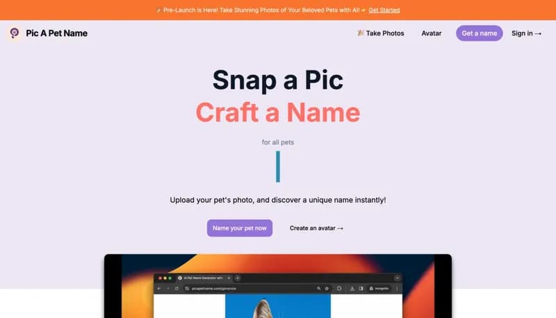 Pic A Pet Name screenshot