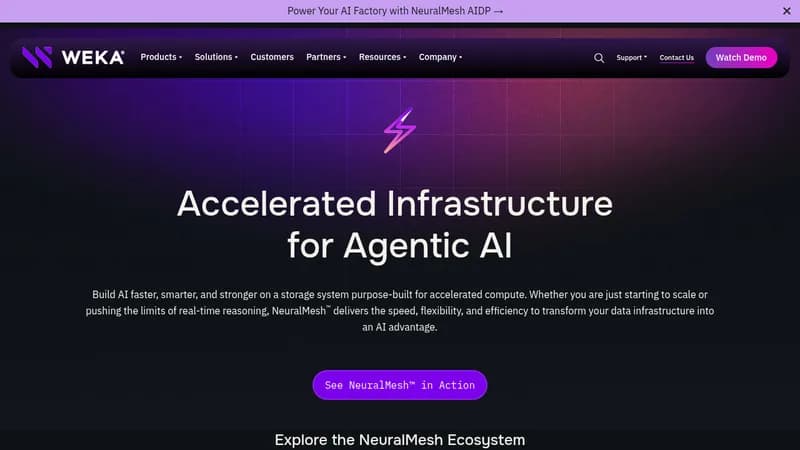 neuralmesh aidp website