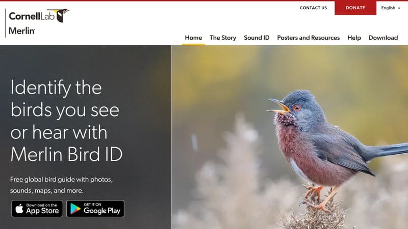 merlin bird id website