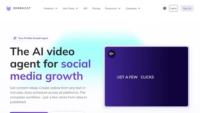 zebracat website
